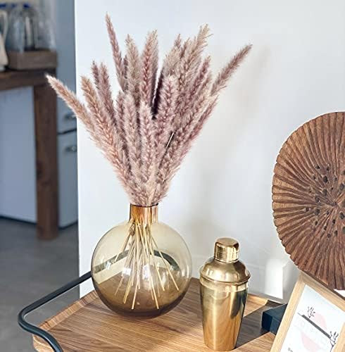 EZDC 30 Stems Natural Dried Pampas Grass, 17” Pampas Grass Decor, Pampas Grass Plants for Rusti... | Amazon (US)