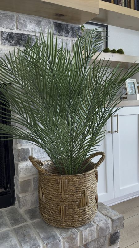 Faux palm tree plant from Walmart! This is only $21 and so full and big! It’s my favorite thing I ordered and this basket planter is so good and on rollback!!! #walmartpartner @walmart #walmarthome 

#LTKhome #LTKsalealert #LTKVideo