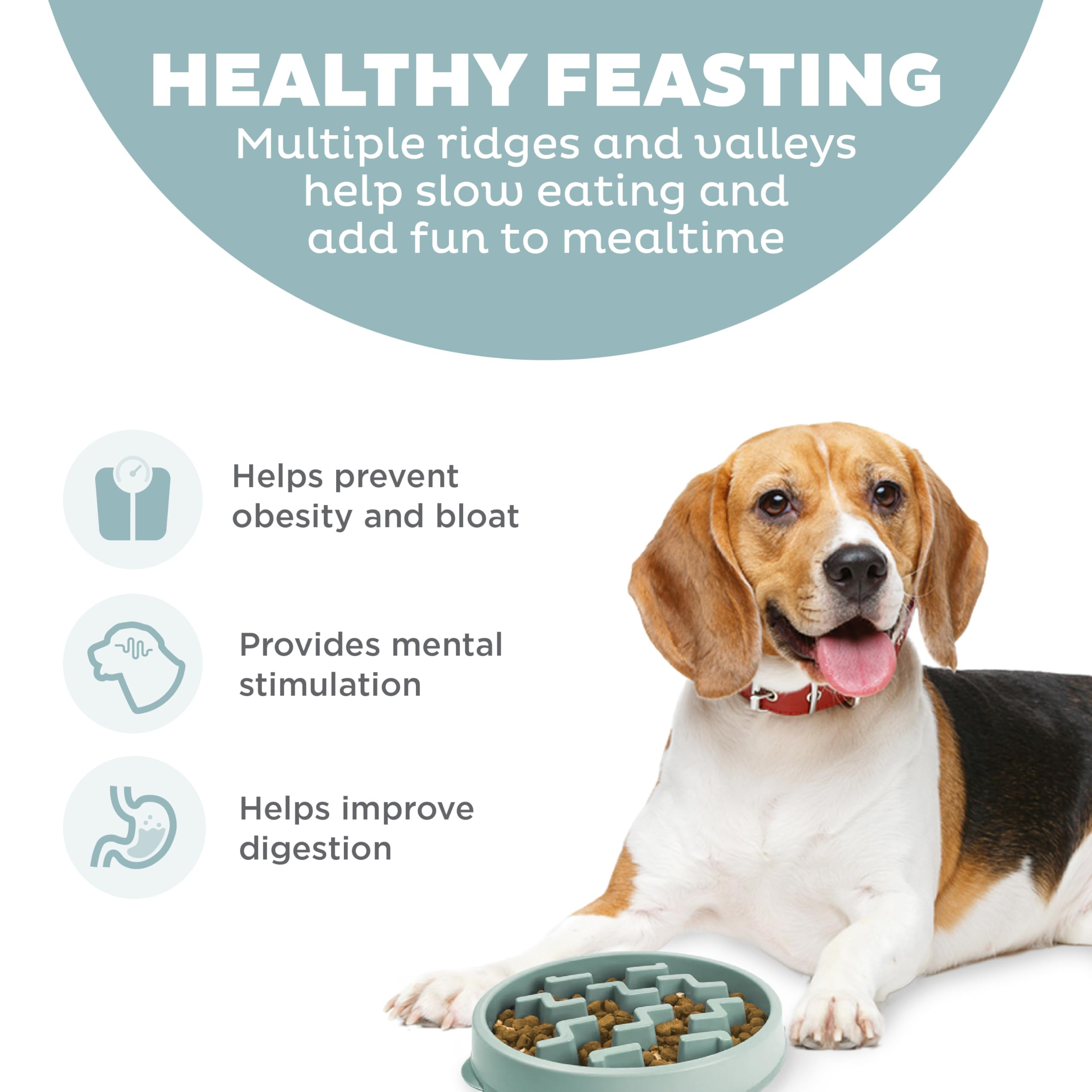 Outward Hound Medium Slow Feeder Bowl, Puzzle Maze for Fast Eaters, Small to Medium Dogs, Helps P... | Amazon (US)