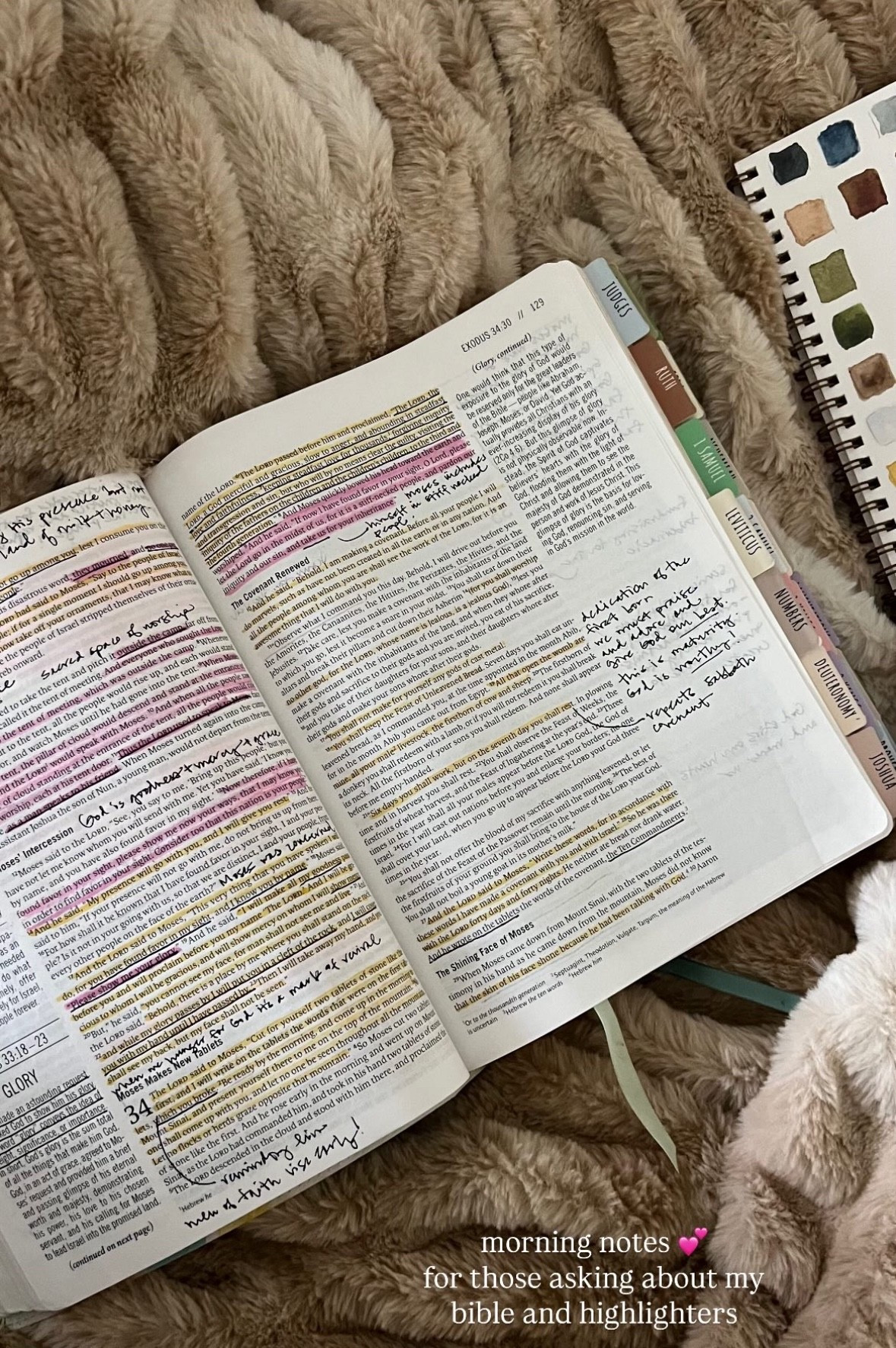 Love these highlighters to help me organize my studies 

#LTKdayinmylife #LTKOver40