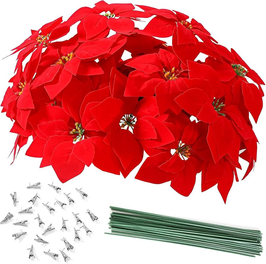 Luyue 24 PCS Real Touch Poinsettia Flowers Artificial Poinsettia Christmas Decorations Red Poinse... | Amazon (US)
