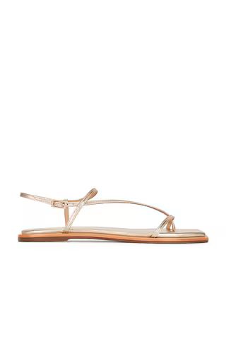 Kaanas Alayta Sandal in Gold from Revolve.com | Revolve Clothing (Global)