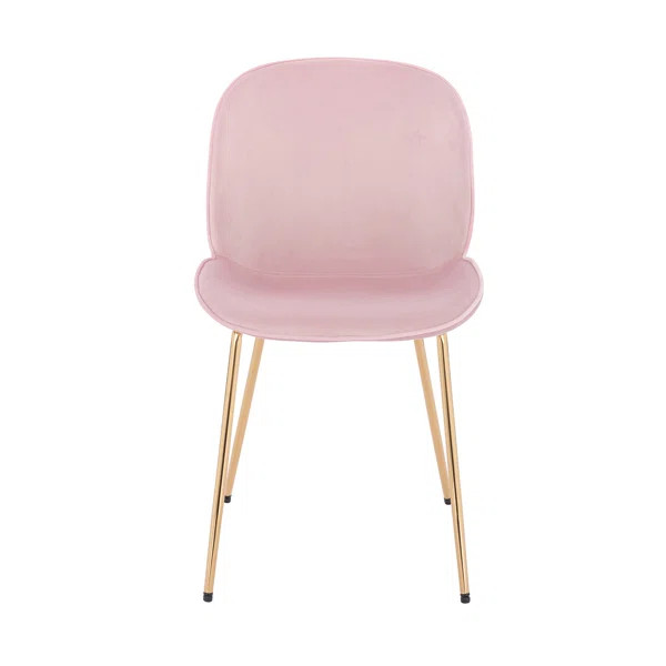 Daun Velvet King Louis Back Side Chair | Wayfair North America