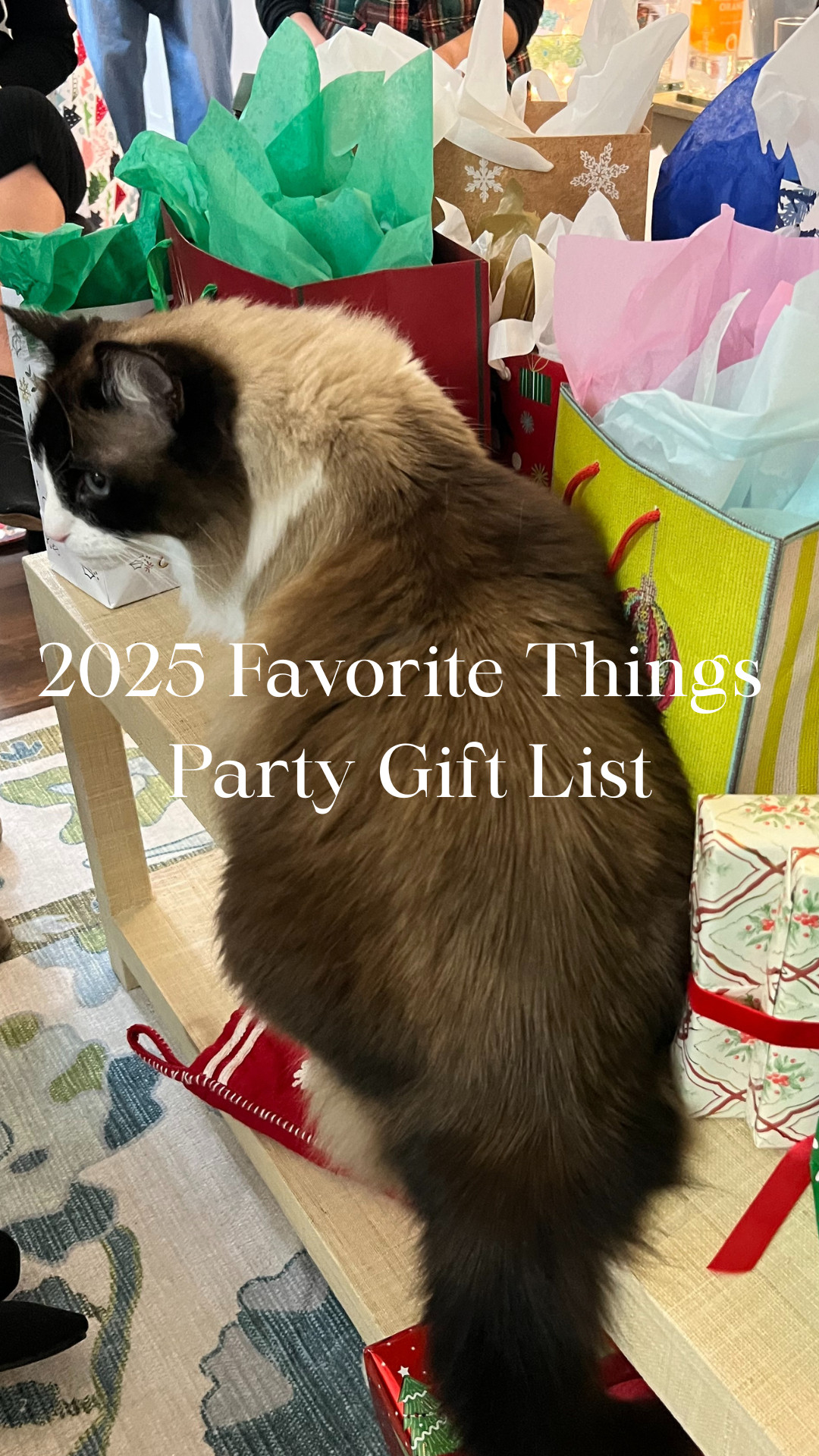 All the gifts brought to my 2025 Favorite Things Party!  

 #LTKGiftGuide #LTKHoliday