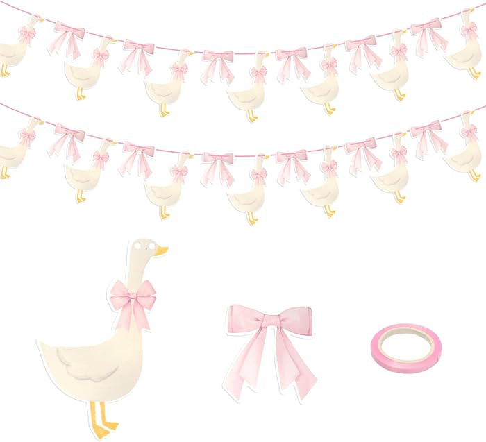 Silly Goose Birthday Decorations，Tumwisk 2 Set of One Silly Goose Birthday Decor Girl Banner Pi... | Amazon (US)