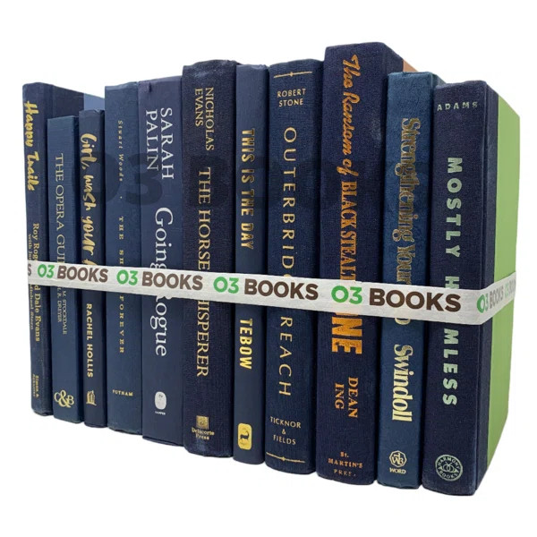 Navy Blue Decorative Books | Wayfair North America
