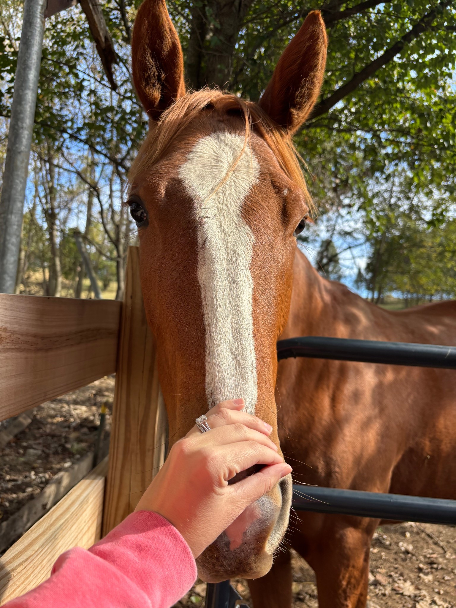 Prettiest girl! Linking some of the wrangler sale finds I loved!

#LTKSaleAlert #LTKGiftGuide #LTKFindsUnder50