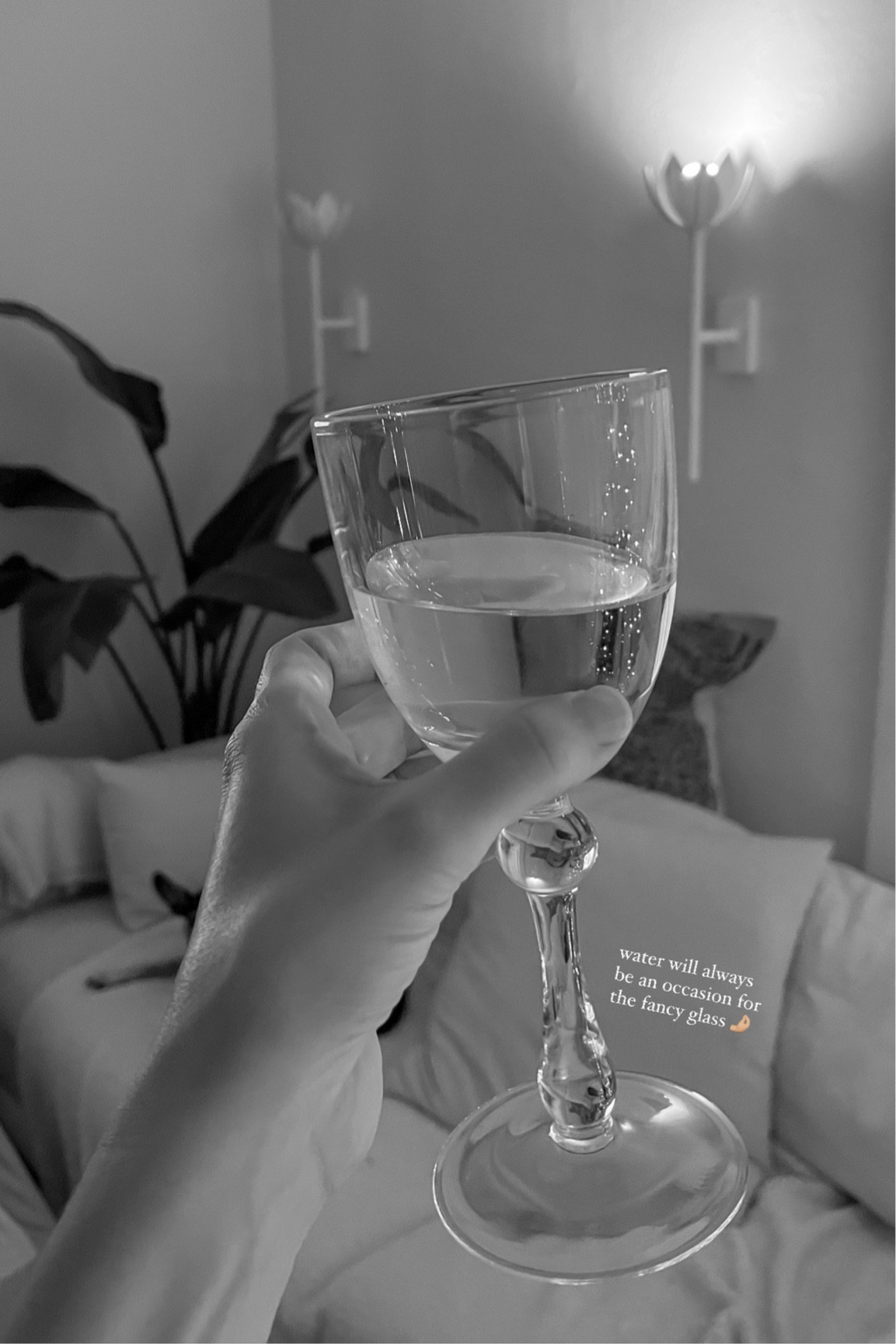 Wine glasses 👉🏼 water glasses 

Shared these in my “gifts for her” and “gifts under $50” shop 〰️ a classic style for any home 🕊️



#LTKunder50 #LTKGiftGuide #LTKHoliday