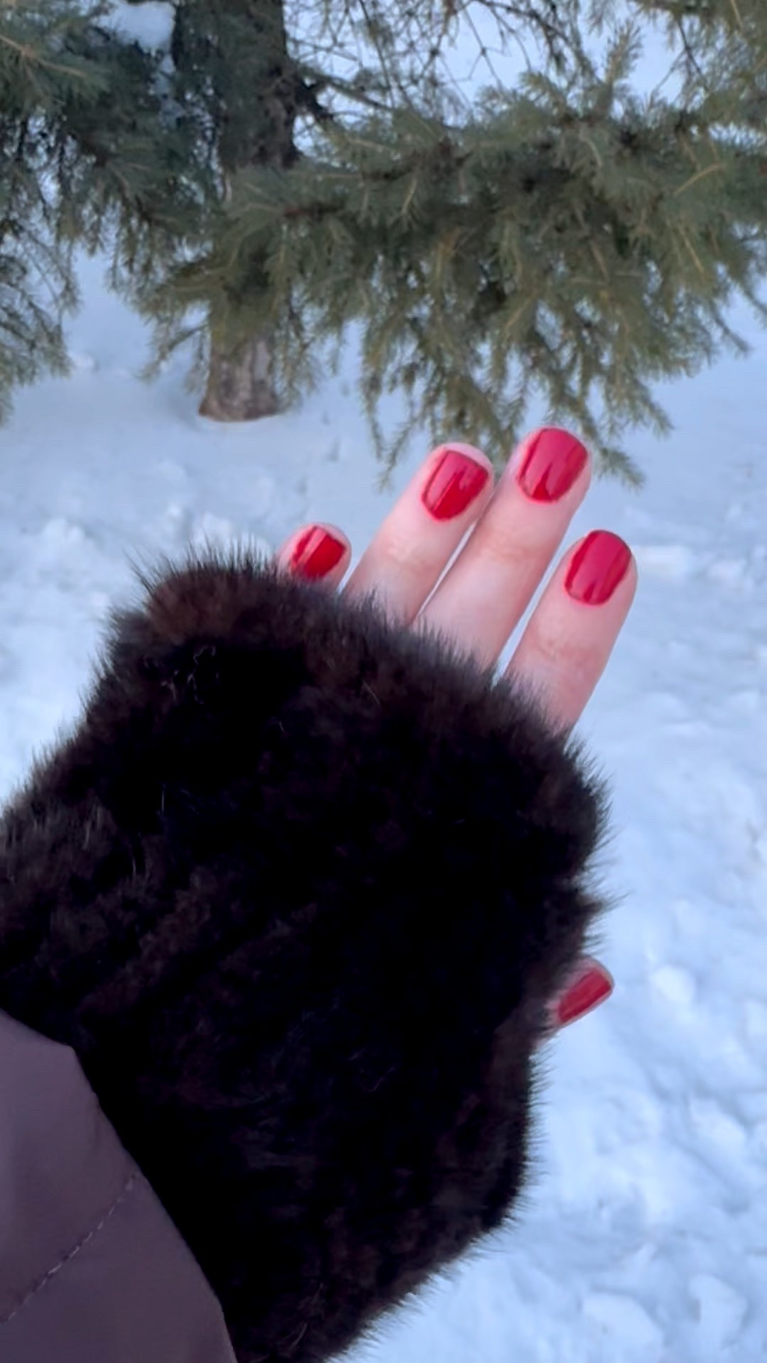 Fingerless fur gloves make a cozy chic holiday gift idea! Under $35

#LTKGiftGuide #LTKHoliday #LTKFindsUnder50