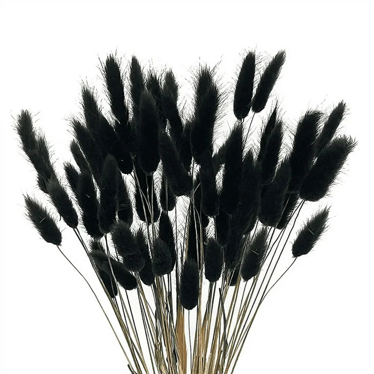 60Pcs Fall Dried Flowers Bunny Dried Flowers Lagurus Ovatus Tail Grass for Dried Floral(Black) | Walmart (US)