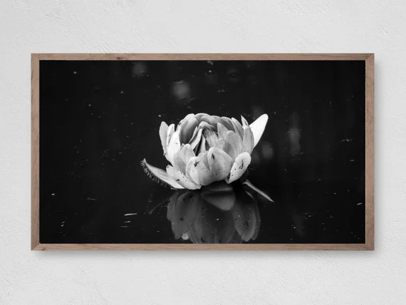 Samsung Frame TV Art, Instant Download, Lotus Beauty,  Samsung Art TV, Digital Download for Samsu... | Etsy (US)