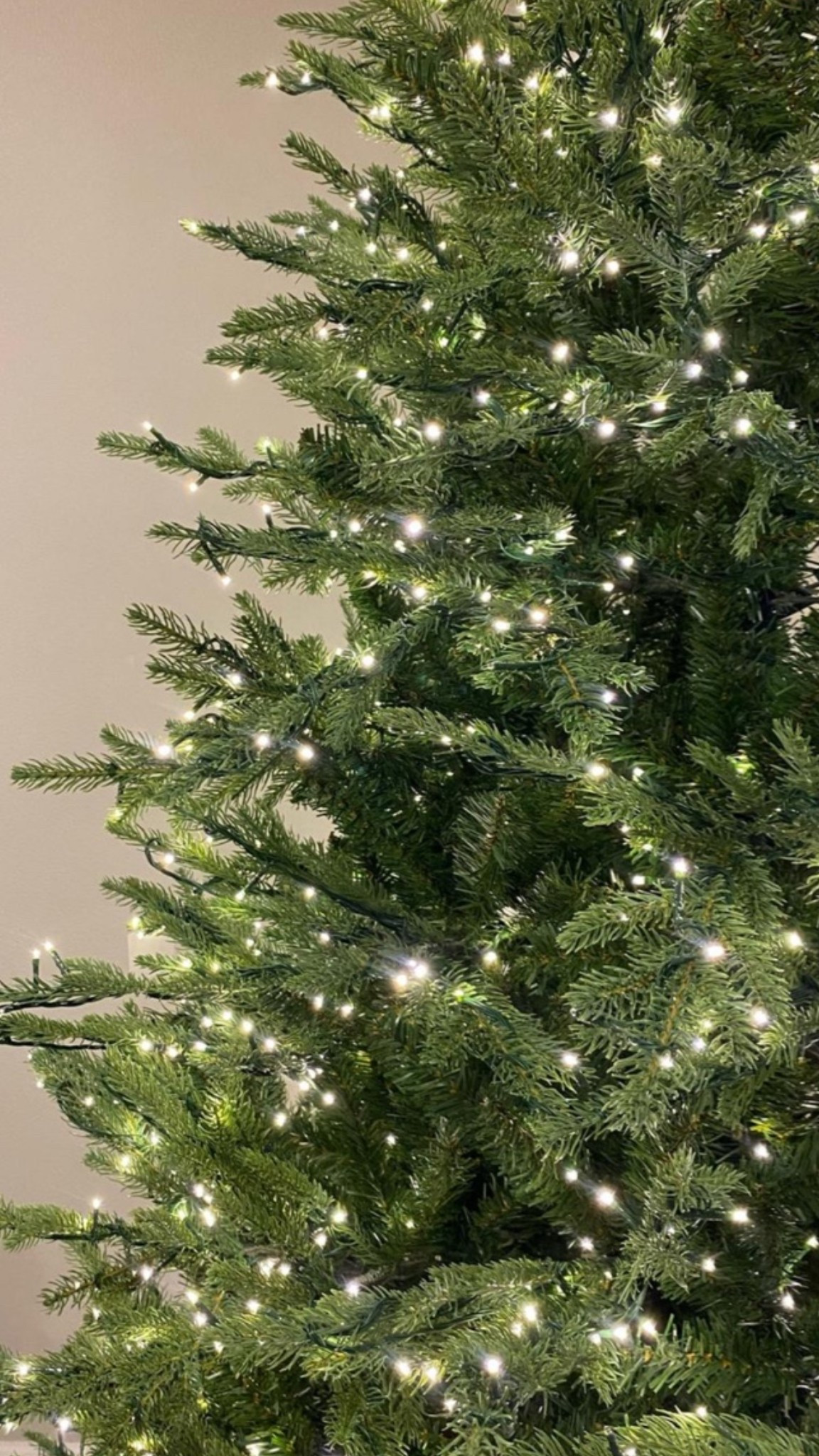 Viral Christmas Tree

#LTKHome #LTKSeasonal