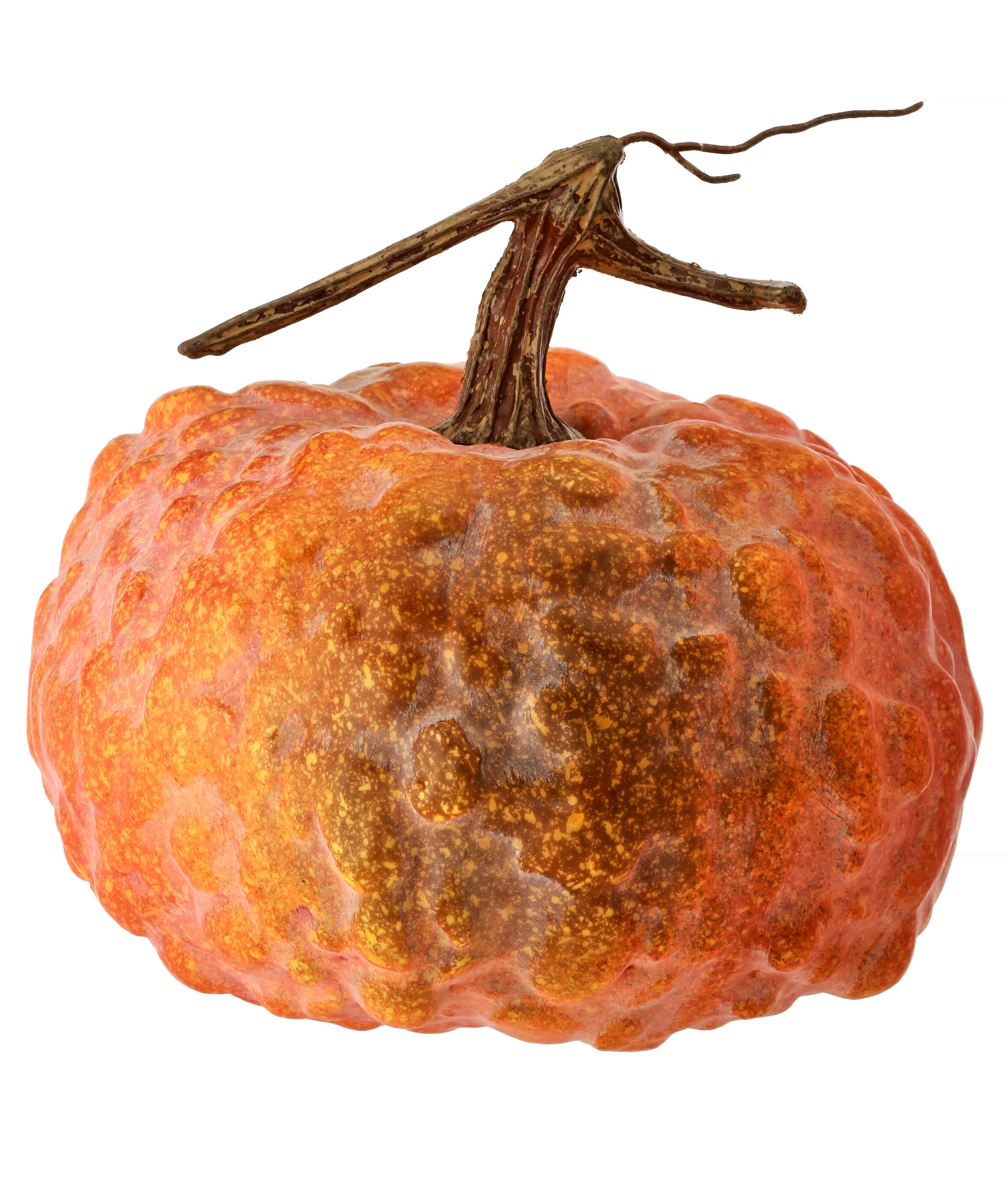 Latex Hybrid Pumpkin | Wayfair North America