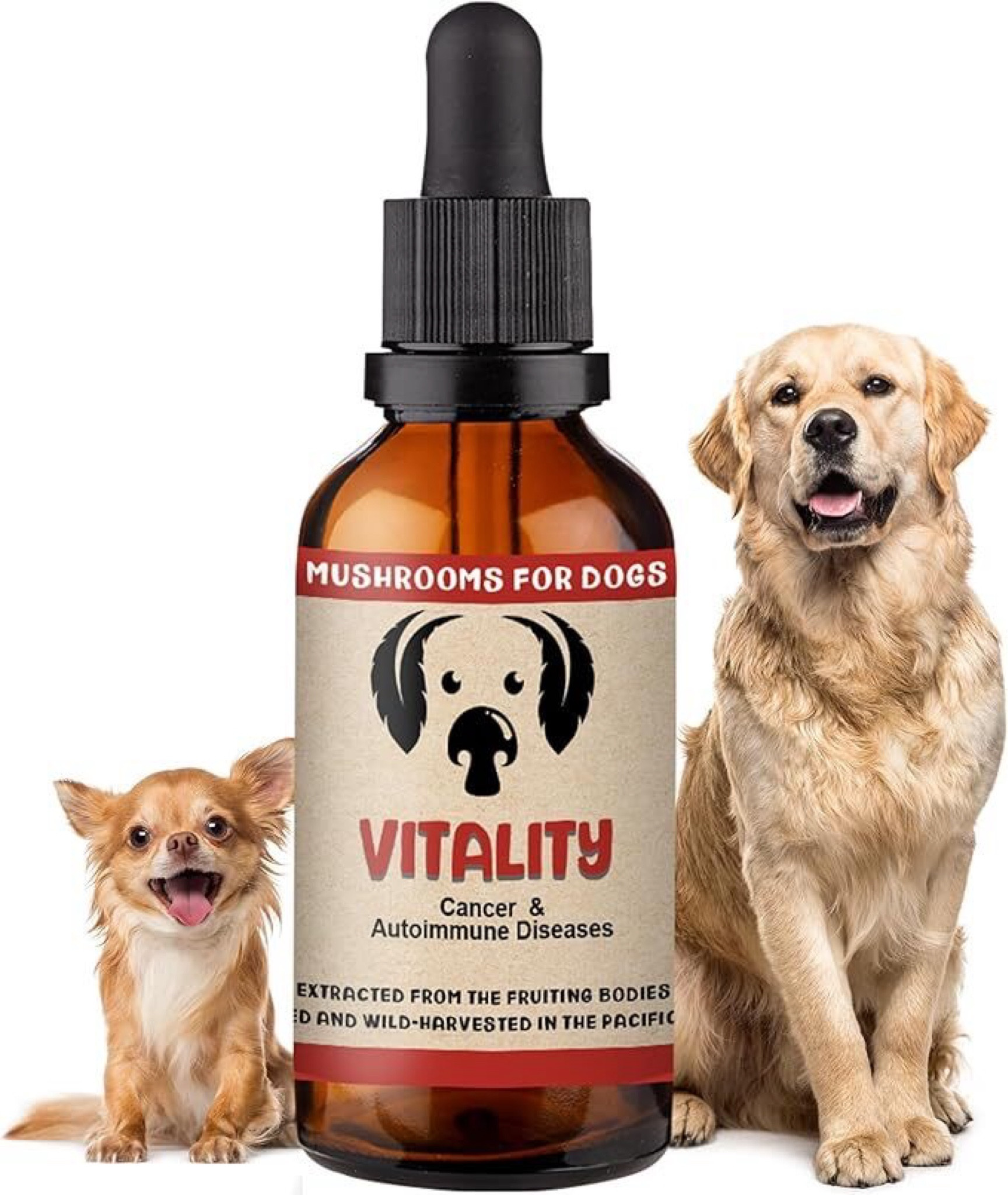 I've been adding this nutritional supplement to my dog's food as part of his cancer journey, and it's made such a difference in his energy and overall wellness. 🐾 Rich in antioxidants, Omega-3s, and natural anti-inflammatory ingredients, it supports his immune system and helps fight free radicals. I love that it's easy to mix into his meals, and knowing that it's packed with all-natural ingredients gives me peace of mind. If you're looking for ways to boost your dog's health naturally, I highly recommend this supplement! #PetWellness #DogCancerSupport #NaturalSupplements #HealthyPets #AmazonFinds #PetCareEssentials #DogMom

#LTKKids #LTKFindsUnder100