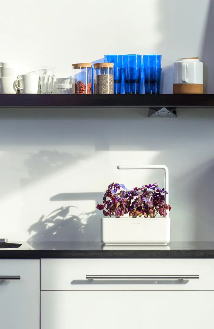 Smart Garden 3 Self Watering Indoor Garden | Nordstrom