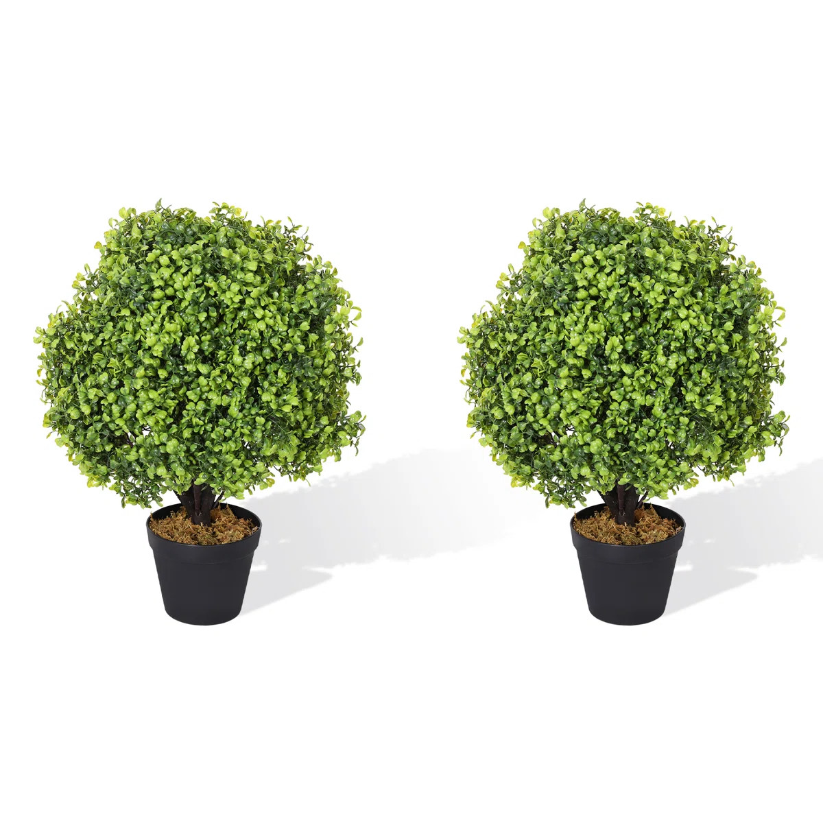 Haight 24-Inch Indoor or Outdoor Faux Boxwood Topiary in Pot (Set of 2) | Wayfair North America