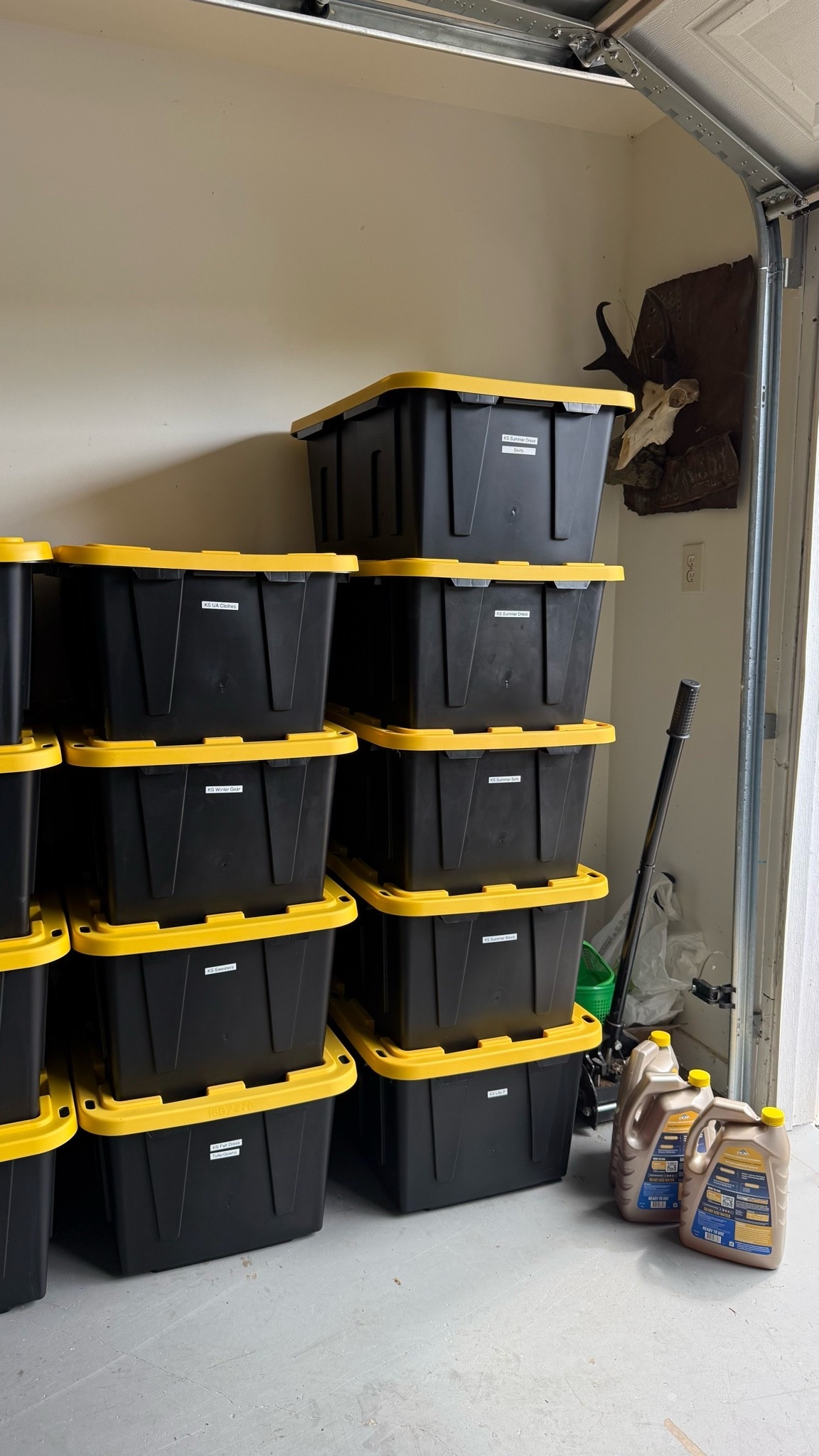 Reorganizing and these bins are our go-to. We’ve tried both brands
And hands down prefer these! Sometimes you can even catch them on sale!!!

#LTKHome #LTKSeasonal