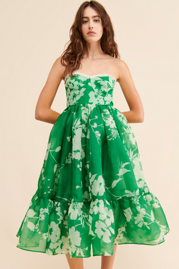 Floral Corset Mini Dress | Nuuly