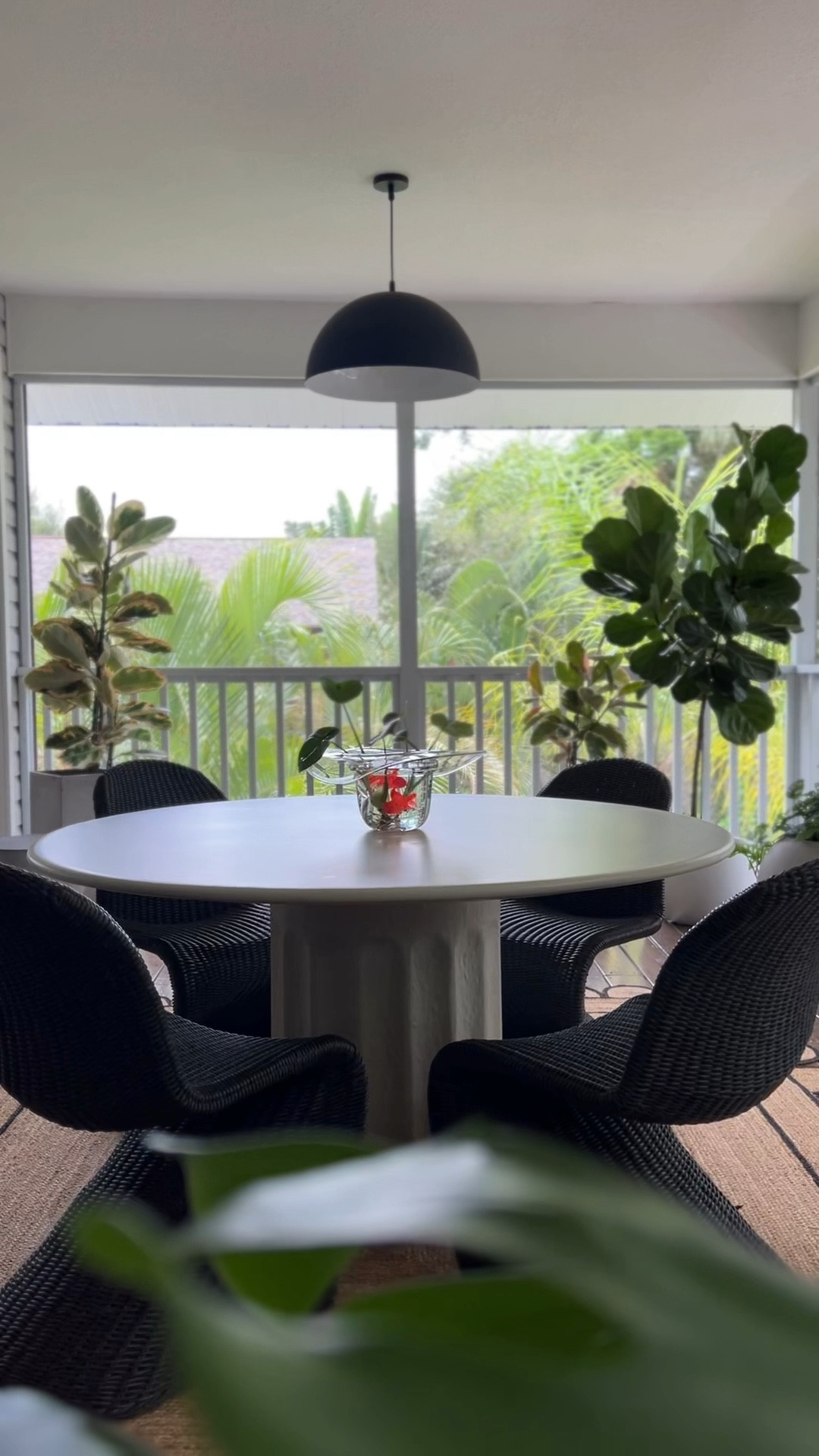 Outdoor decor and outdoor furniture! 

#meandmrjones 
Outdoor chairs
Outdoor table 
Outdoor rug 
Outdoor light 
Plants 

#LTKunder50 #LTKunder100 #LTKhome