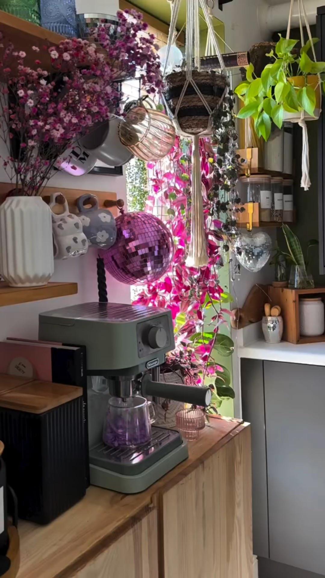 happy spring!! 🌷☀️🪩

#apartmenttherapy #cozy #cozyathome #spring #thatgirl #girltherapy #matchalover #houseplants #plants #matcha #monstera #flowers