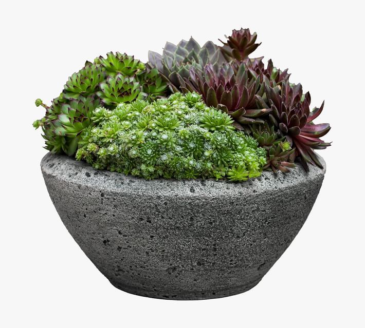 Roselyn Cast Stone Planter | Pottery Barn (US)
