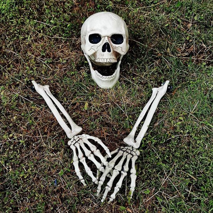 yosager Realistic Skull and Skeleton Arms Stakes, Indoor Outdoor Graveyard Best Halloween Yard De... | Amazon (US)