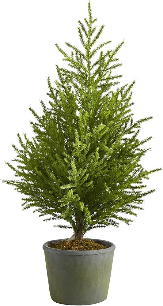 Nearly Natural 3ft. Norfolk Island Pine “Natural Look” Artificial Tree in Decorative Planter | Amazon (US)