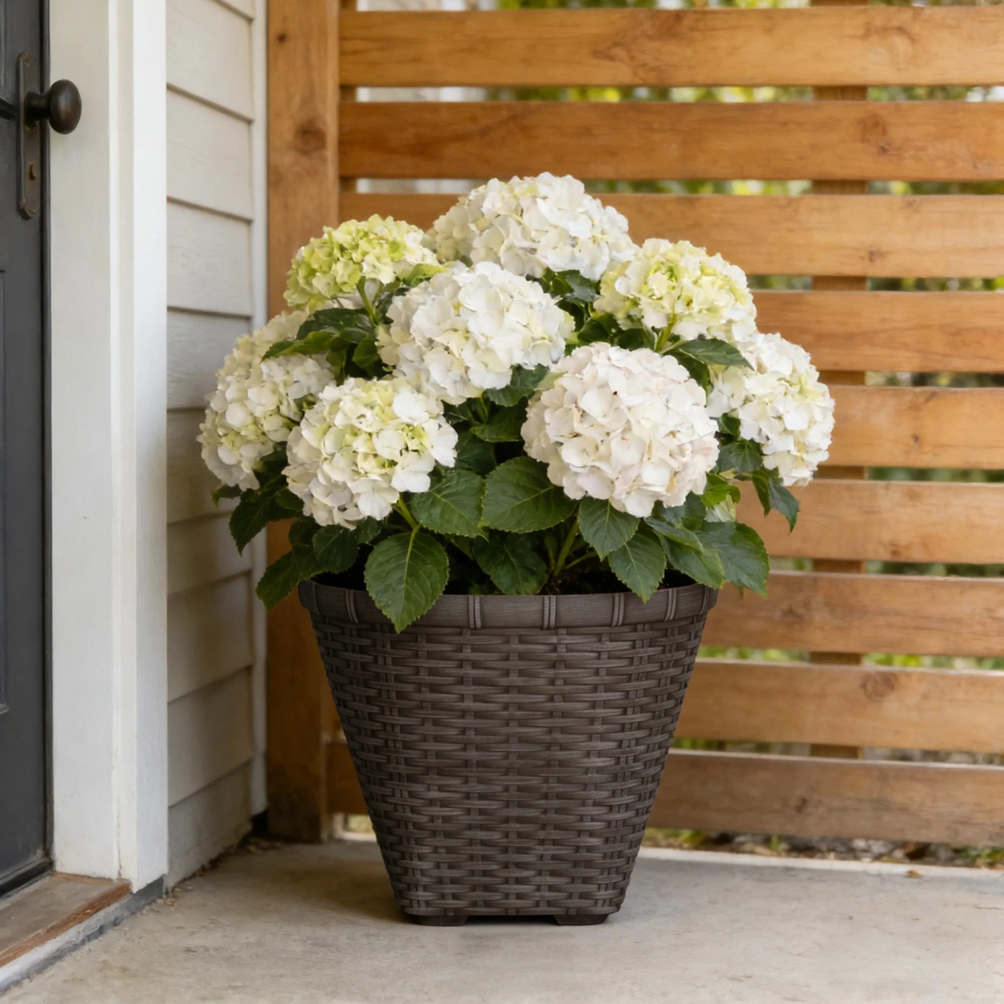 My Texas House Ainsley 16in Dark Brown 100% Recycled Resin Planter | Walmart (US)