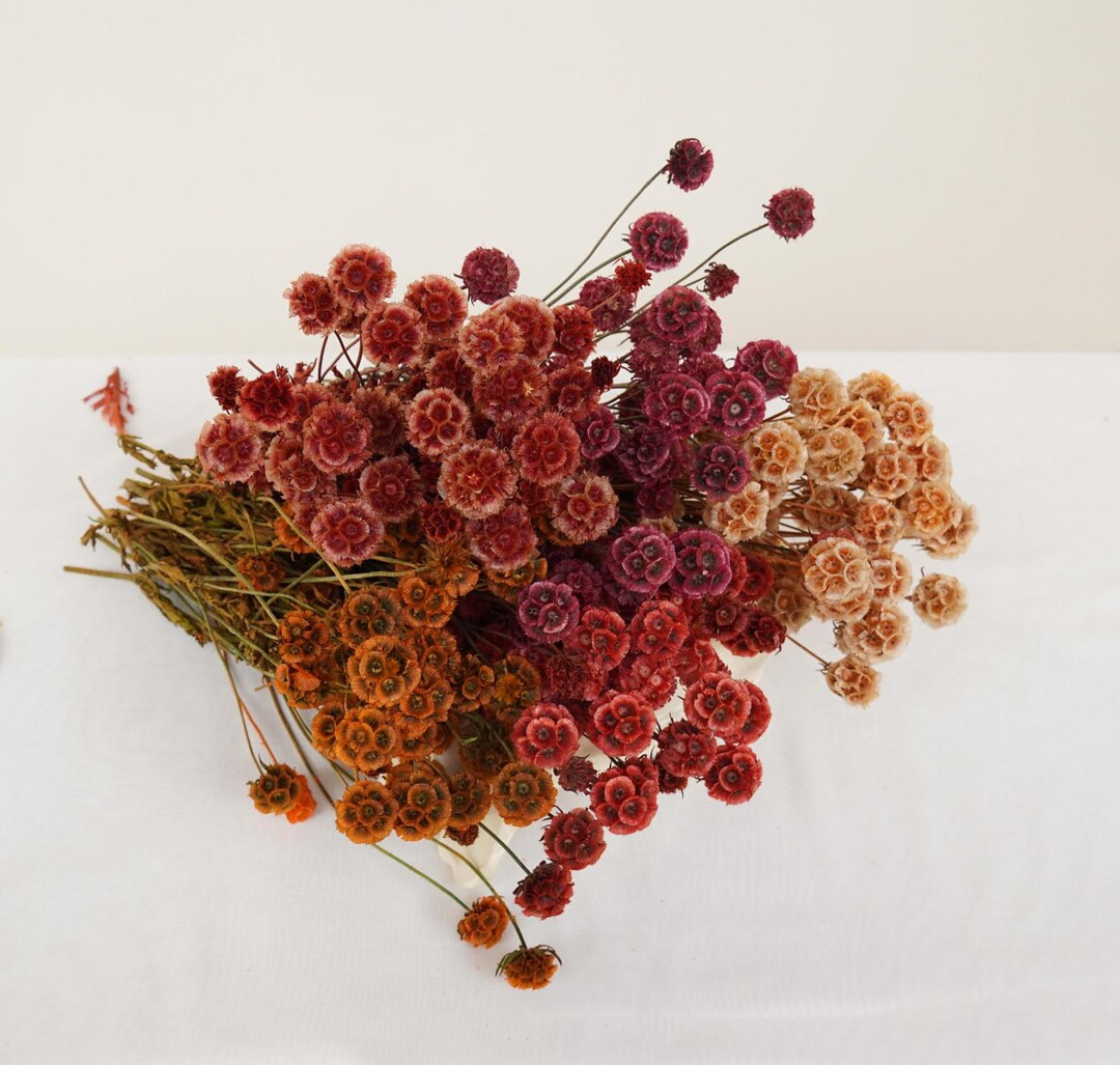 Homepage | Etsy (US)