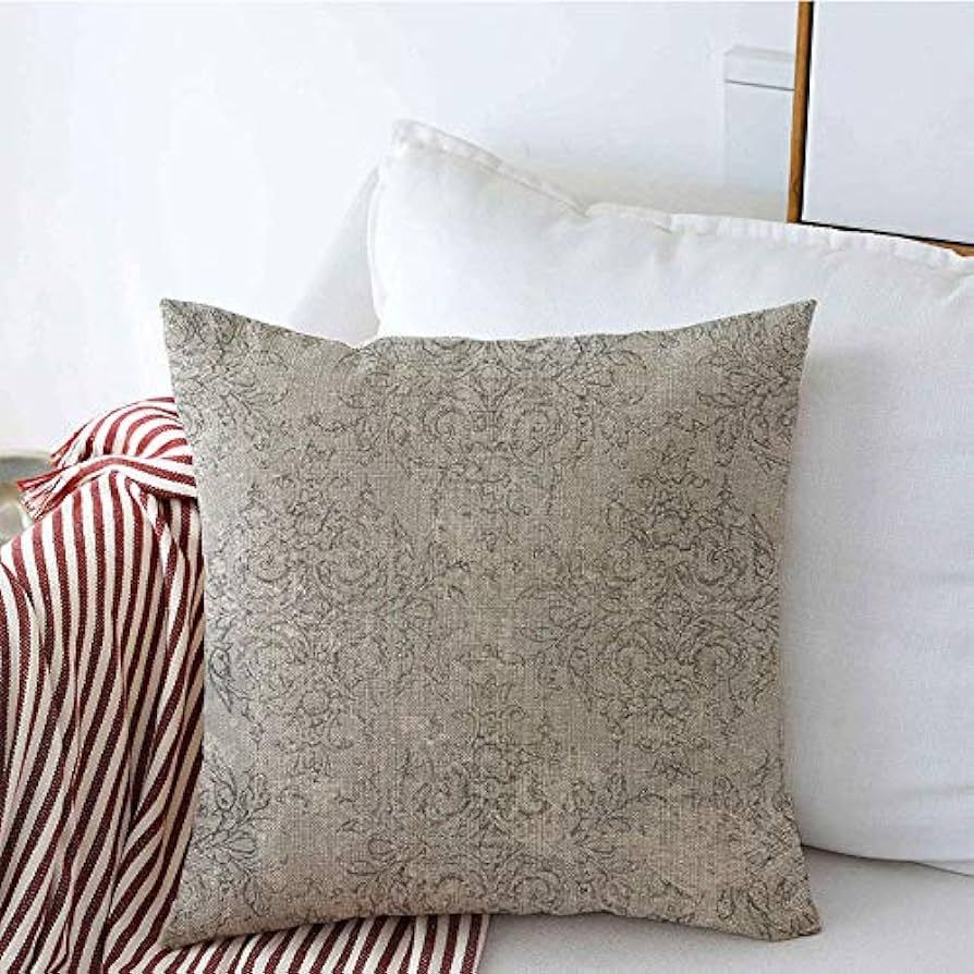 Throw Pillow Covers Timeless Rare Back Delicate Worn White Victorian Vintage Toile Old Formal Ant... | Amazon (US)