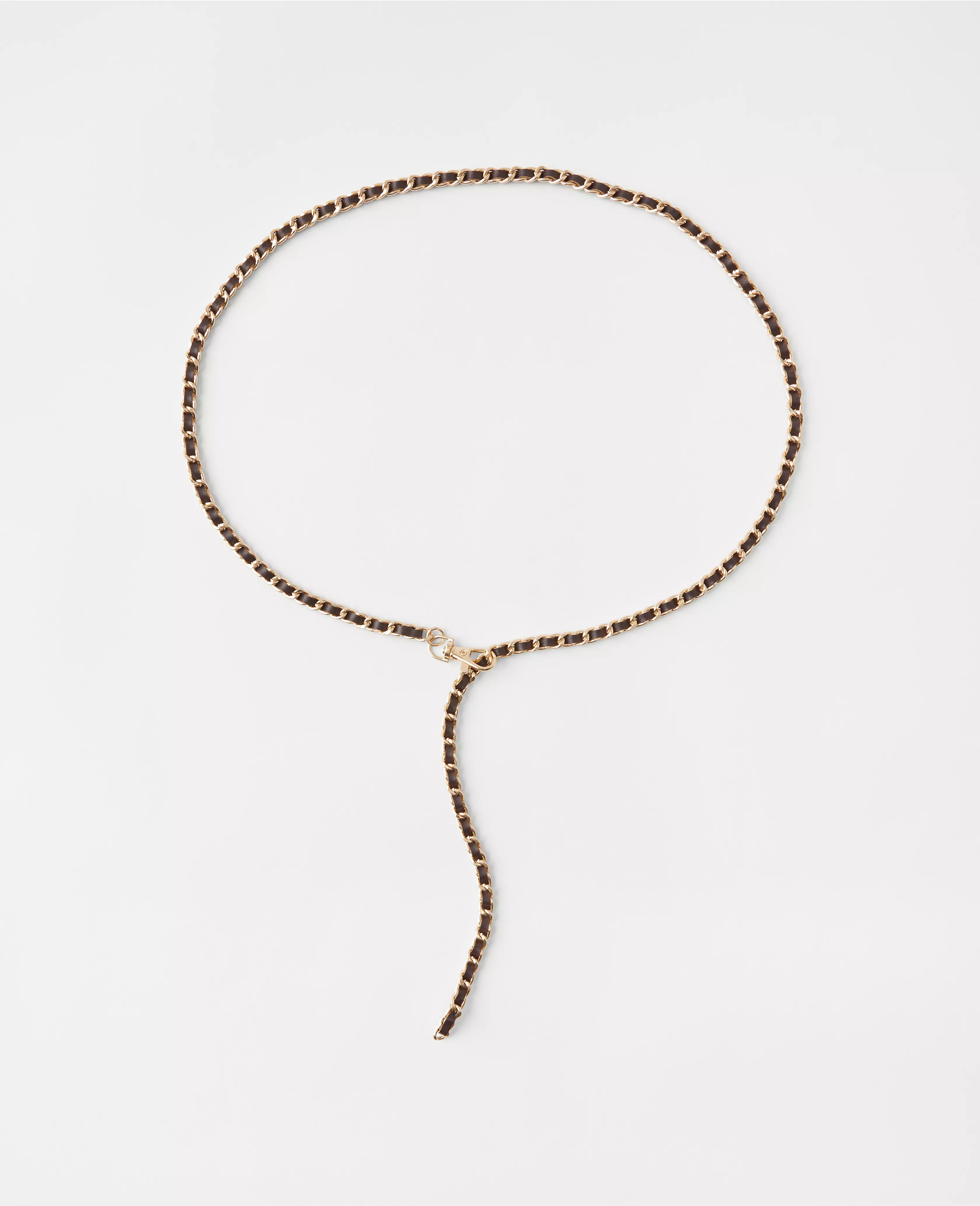 Leather Chain Belt | Ann Taylor (US)