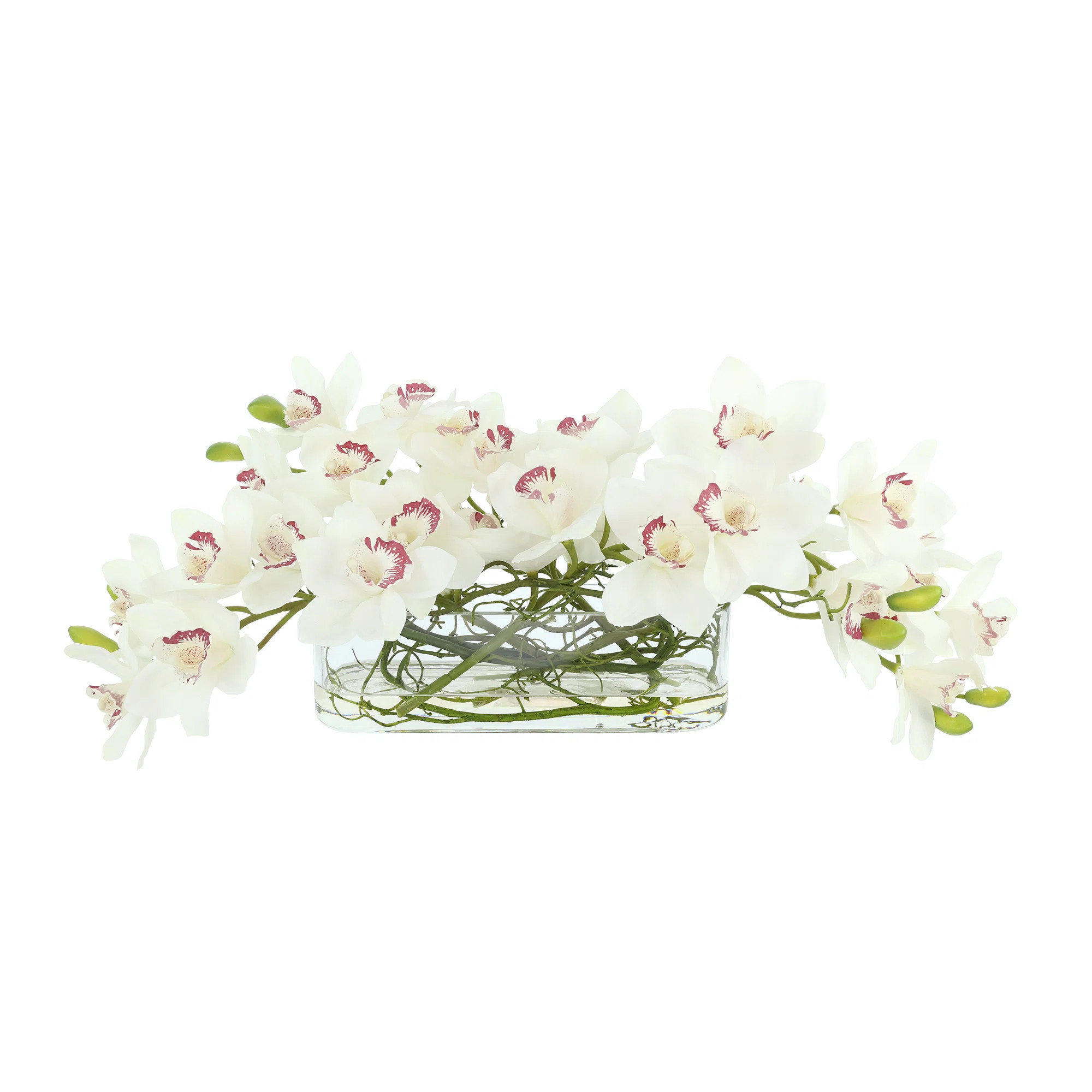 Orchids Arranged in Oval Glass Vase with Curly Willow | Wayfair North America