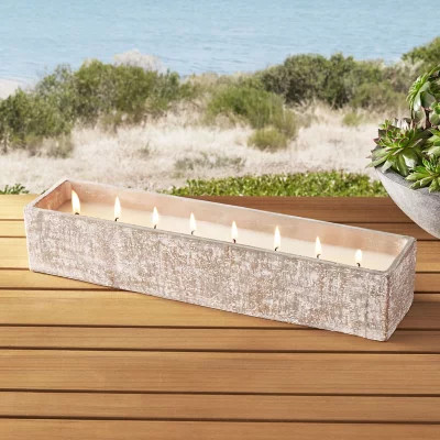 Member’s Mark Cement Citronella Candle | Sam's Club