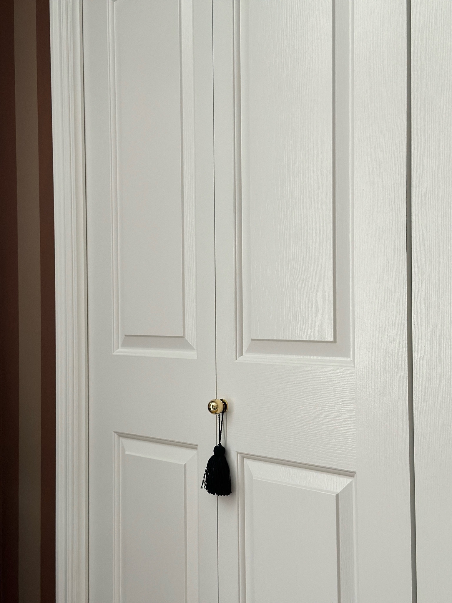 Brass Door Hardware and Tassels

#LTKHome #LTKStyleTip