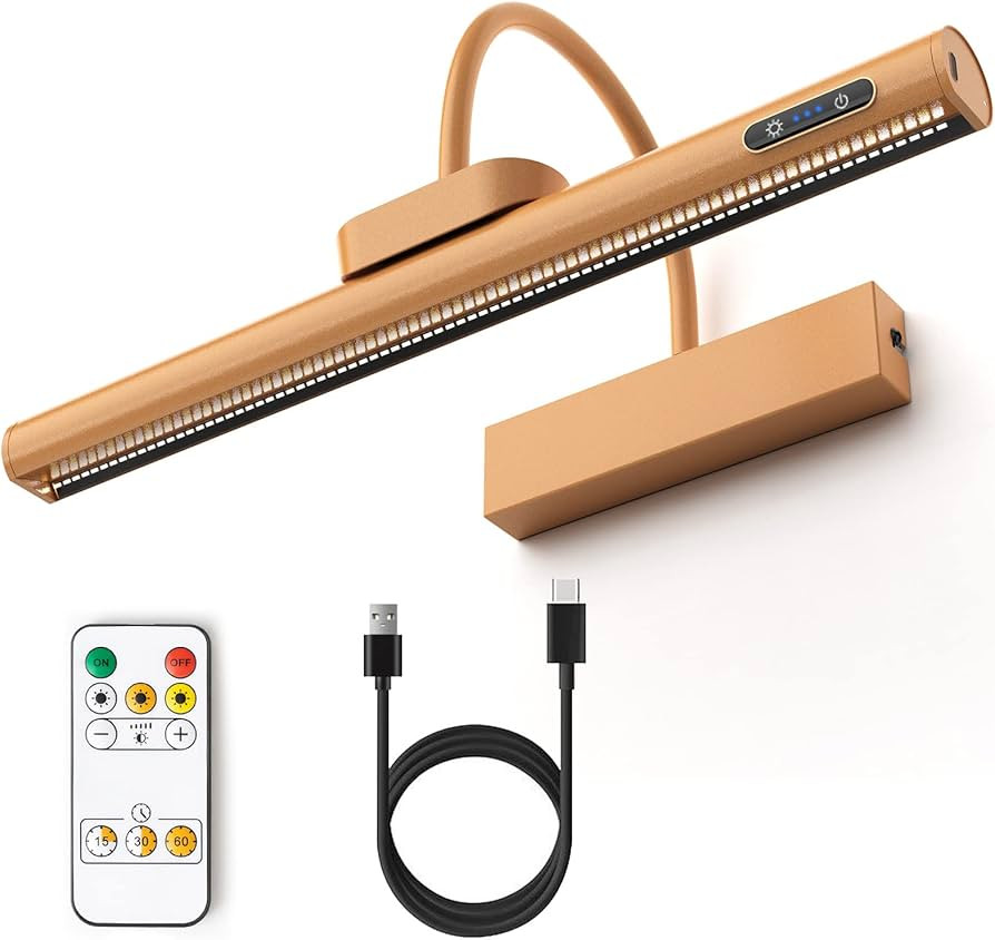 FTOYIN Wireless LED Picture Light with Remote, Rechargeable Rotatable Magnetic Painting Light, Di... | Amazon (US)