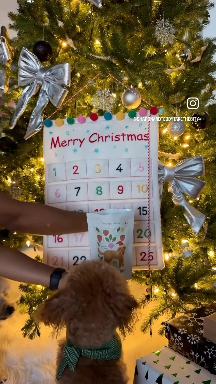 A fun holiday activity to do with your dog all December long is making an advent calendar for them using their favorite treats.

#LTKHoliday