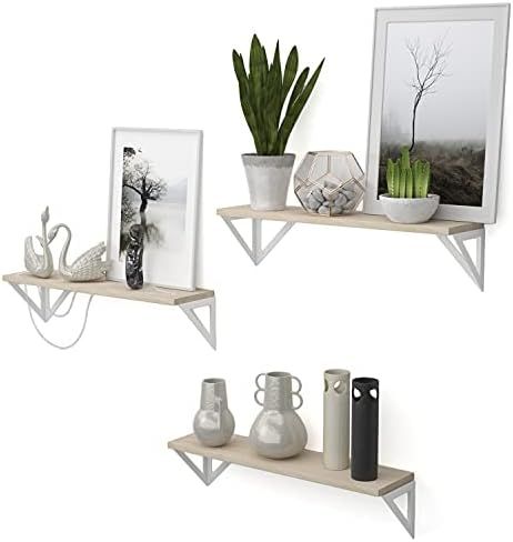 Wallniture Minori Floating Shelves for Wall Storage, Floating Bookshelf Set of 3 for Living Room ... | Amazon (US)