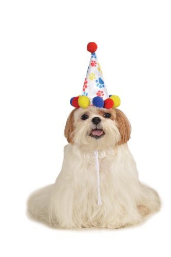 Rubie's Pet Birthday Hat, Medium to Large, Boy Paw Print | Amazon (US)
