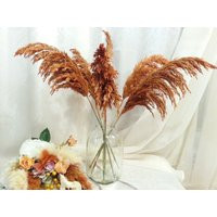 Orange Pampas Grass Stem Dried Floral Arrangement, Autumn Decor 24/40 | Etsy (US)