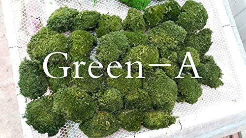 Preserved Pole Moss Pillow Moss Bun Moss Cushion Moss Natural Green Decorative Real (Green-A)(1.5 sq | Amazon (US)