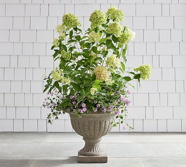 LoveShackFancy Planter Collection | Pottery Barn (US)