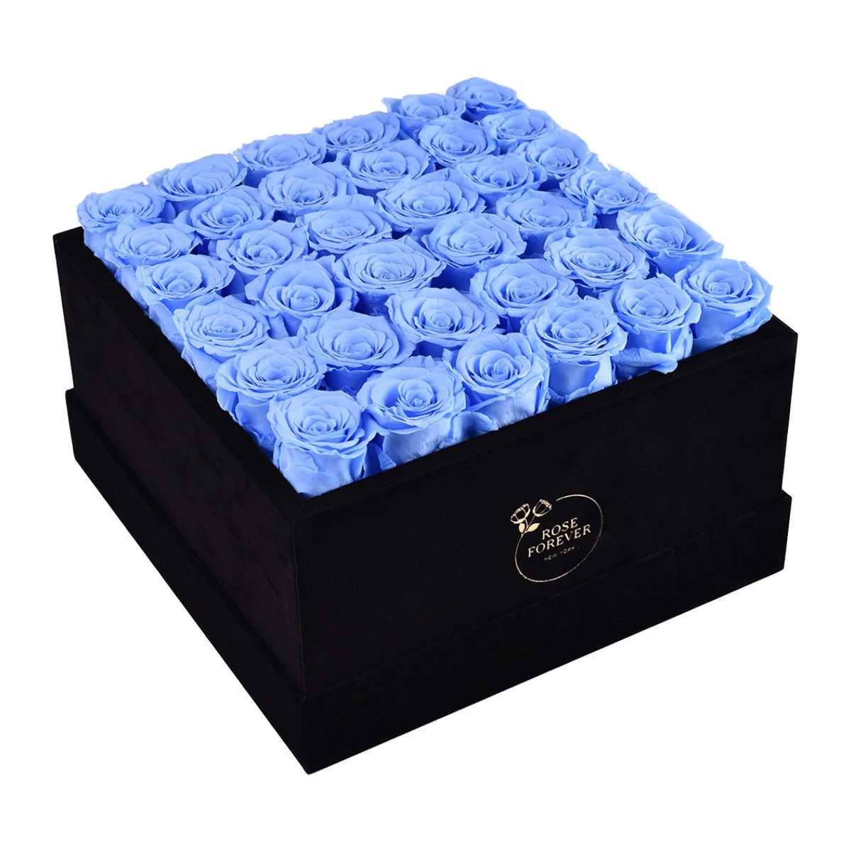 36 Blue Roses - Black Square Velvet Box | Rose Forever 