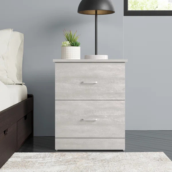 Allyannah 23.6" 2-Drawer Nightstand | Wayfair North America