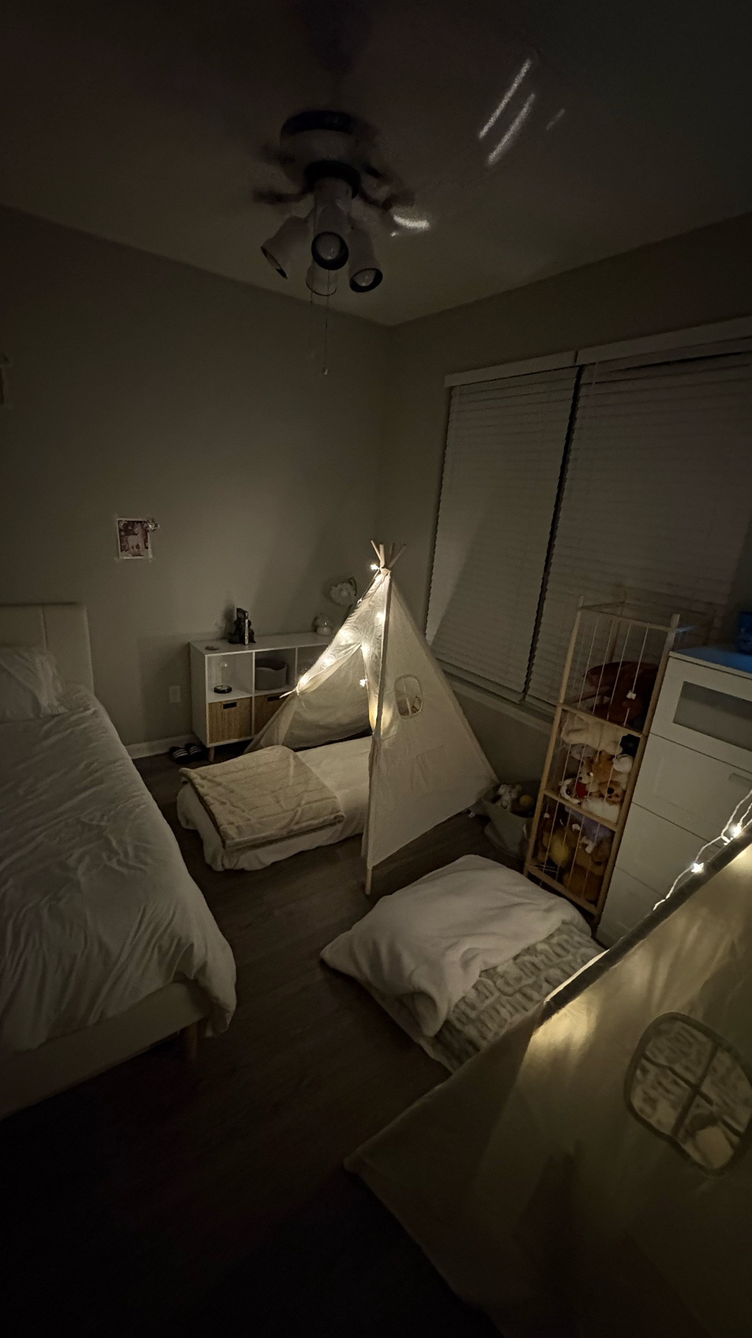 How cute are these dreamy sleepover tents?! Two pack today for just $88!! 4 pack for only $160!

#LTKCyberWeek #LTKHome #LTKGiftGuide