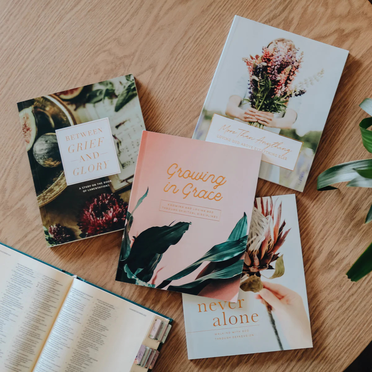 Bible Study Set - Volume 6 | The Daily Grace Co.
