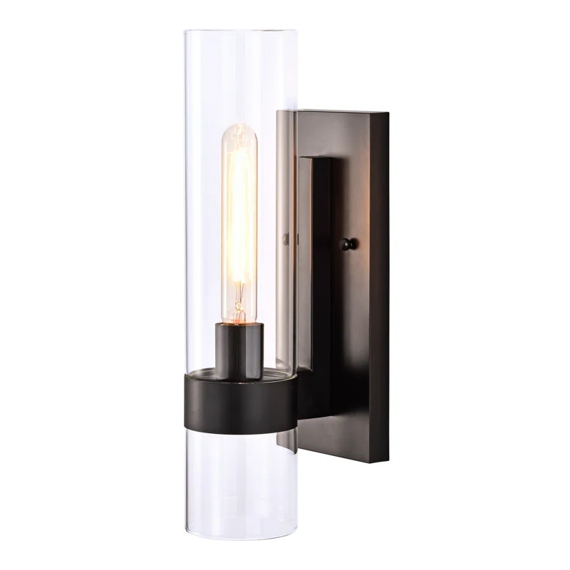 Duchesne Iron Armed Sconce | Wayfair North America
