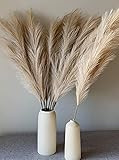 Set of 4 Faux Pampas Grass Caramel Large 43” Real Touch - Boho Home Decor Wedding Decor Floral Arran | Amazon (US)