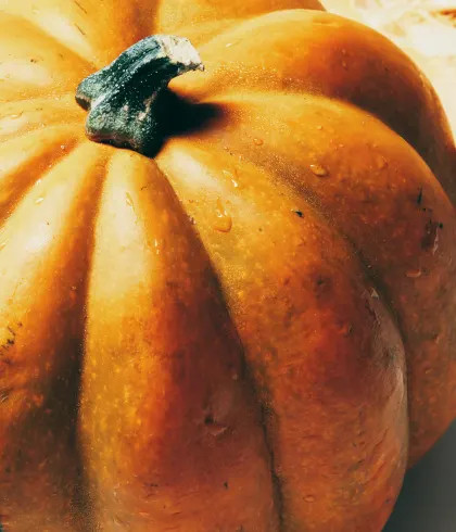 The Gather Candle by Anthropologie Figural Edition: Pumpkin Sweet Vanilla | Anthropologie (US)