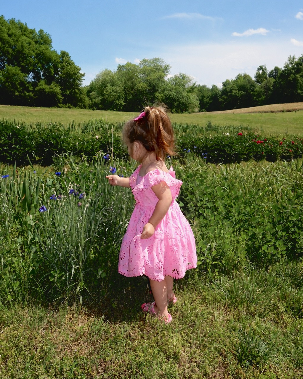 Toddler girl eyelet dress | kohls | kohls toddler | flower farm | girl pink dress | wildflowers | toddler girl clothes | kids clothes | Daisy Duck | Minnie house | embroidery | crochet  | next USA | Memorial Day sale | 4th of July |

#LTKKids #LTKmomlife #LTKSaleAlert