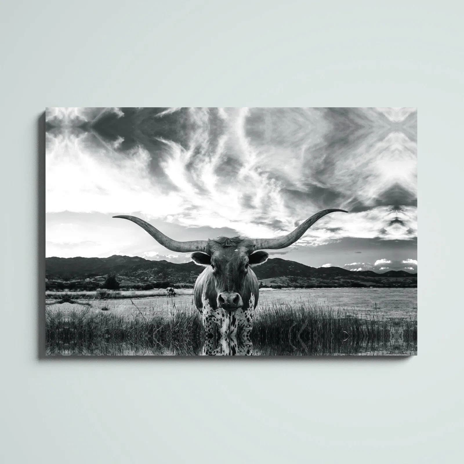 Steelside™ Black And White Longhorn Cow I - Wrapped Canvas Photograph & Reviews | Wayfair | Wayfair North America
